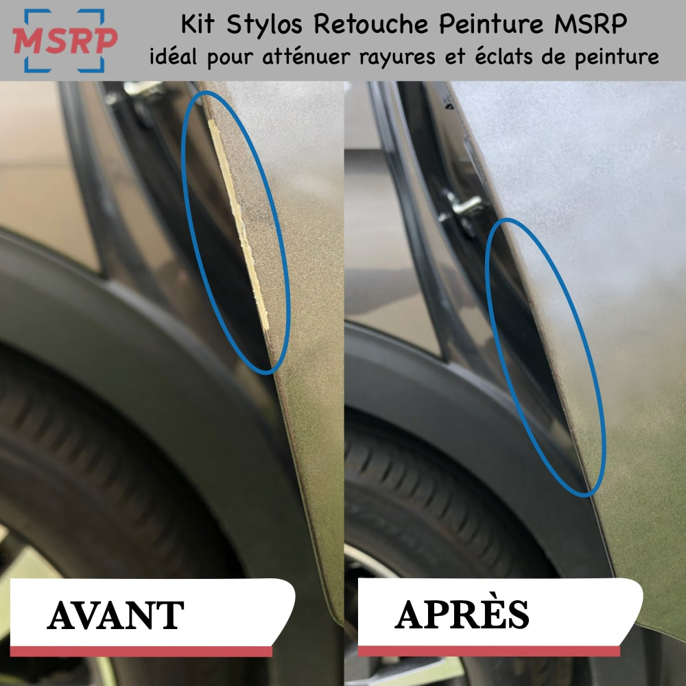 RENAULT DNP & Vert Olivette